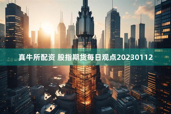 真牛所配资 股指期货每日观点20230112