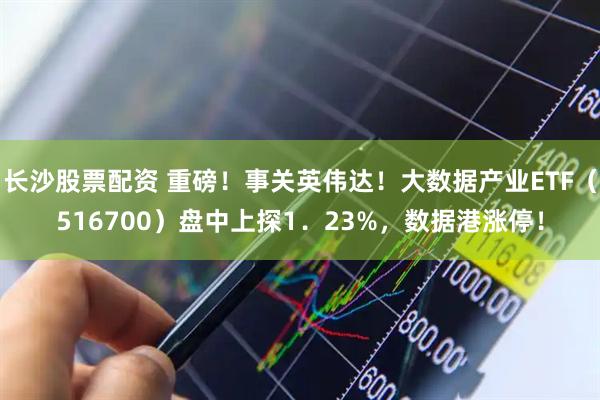 长沙股票配资 重磅！事关英伟达！大数据产业ETF（516700）盘中上探1．23%，数据港涨停！