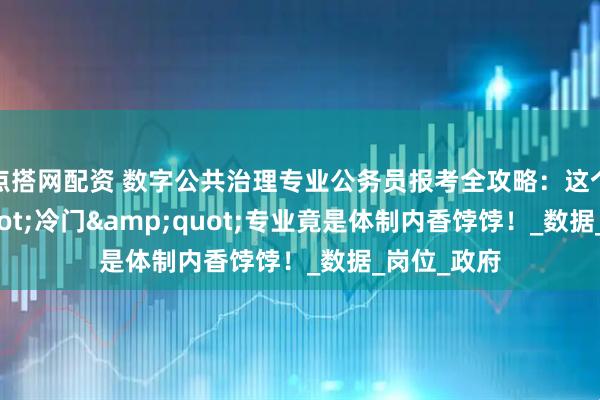 点搭网配资 数字公共治理专业公务员报考全攻略：这个&quot;冷门&quot;专业竟是体制内香饽饽！_数据_岗位_政府