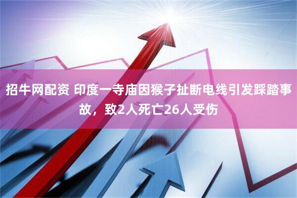 招牛网配资 印度一寺庙因猴子扯断电线引发踩踏事故，致2人死亡26人受伤